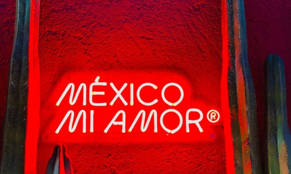 visto eletronico mexico hannah bennett 1