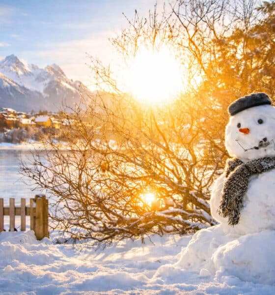 Boneco de neve em paisagem de inverno com montanhas ao fundo, cenário típico de destinos onde contratar seguro viagem para neve é recomendado.