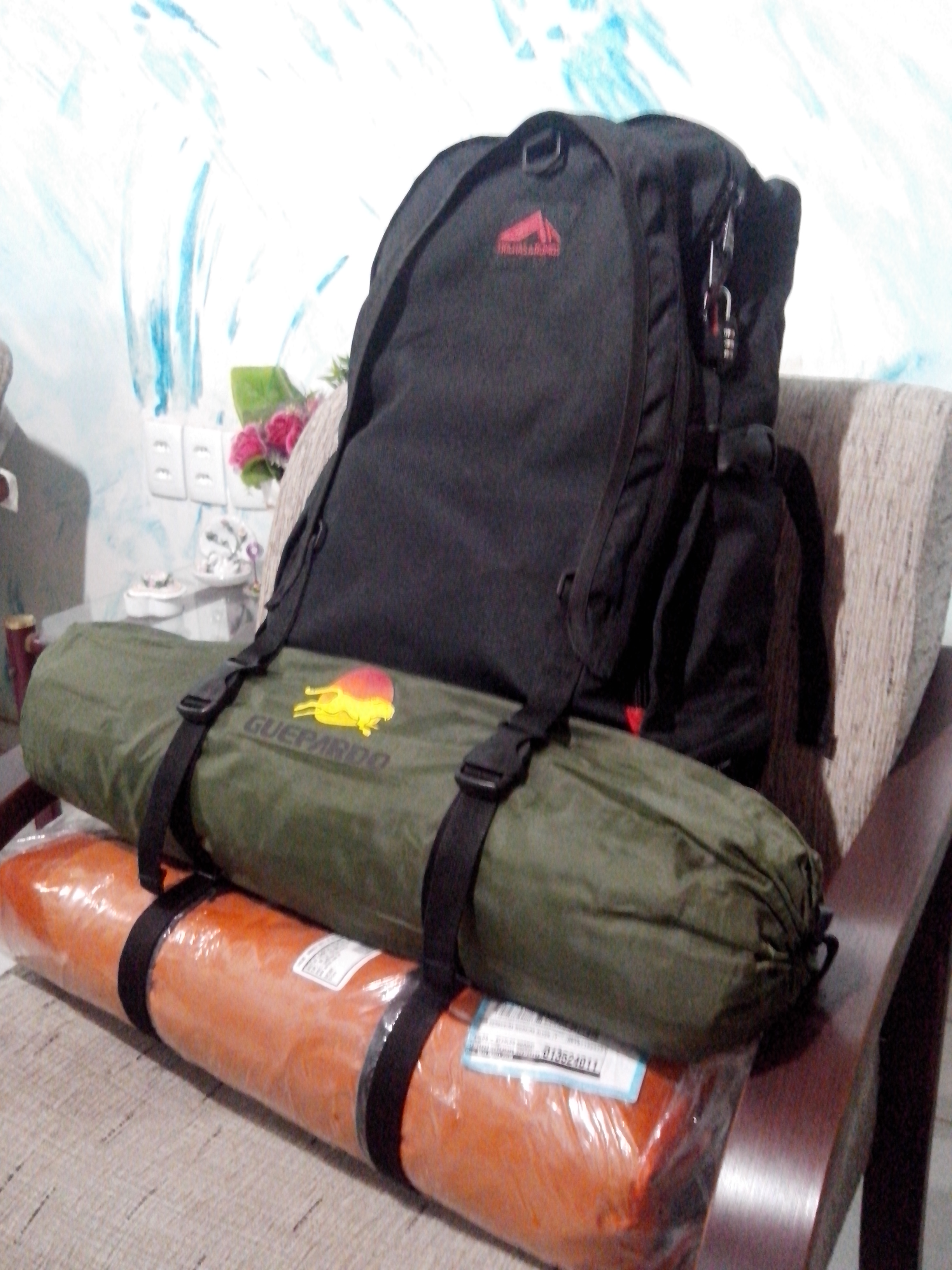 file.php?id=50590&t=1