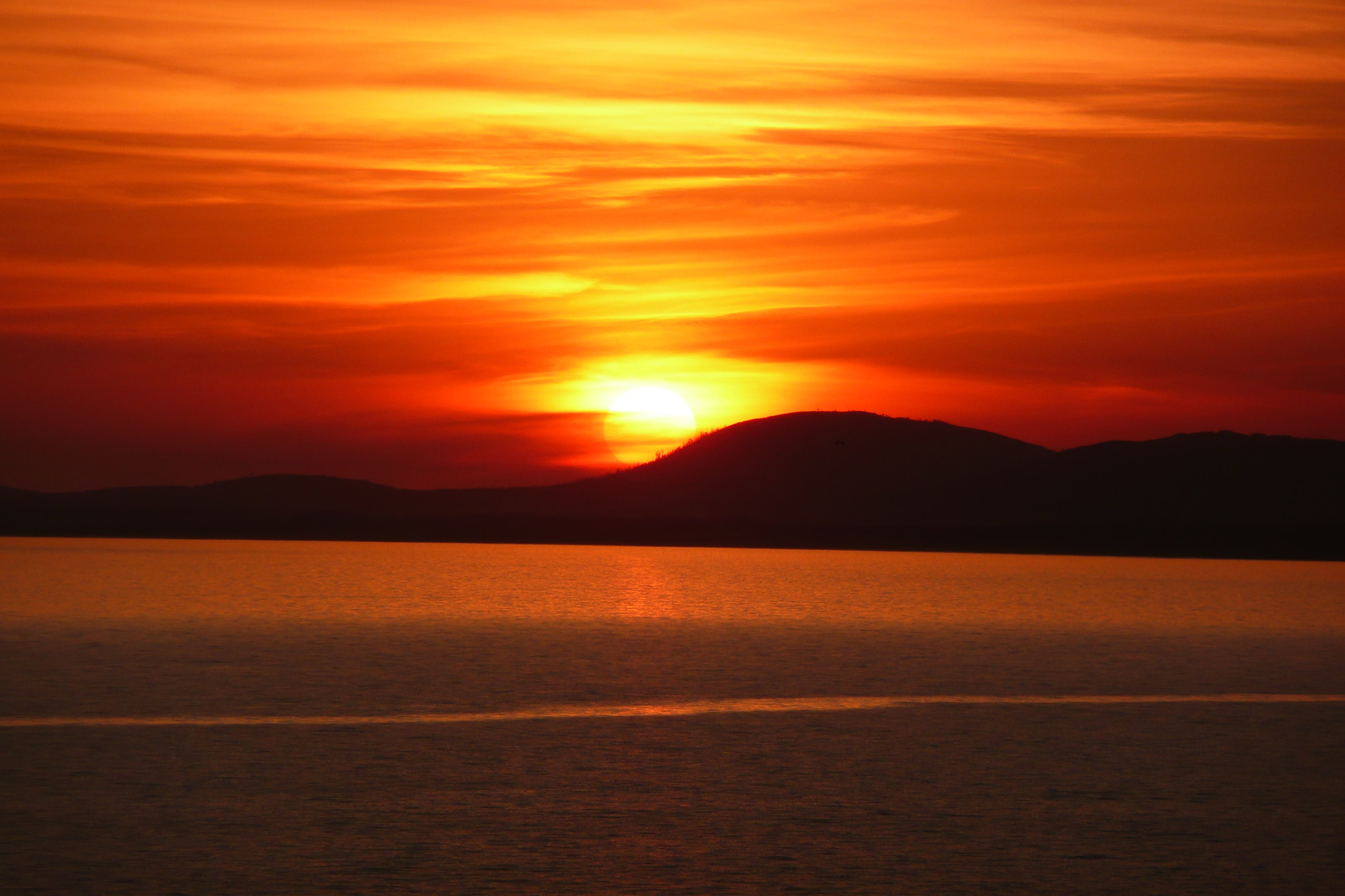 Sol Finer