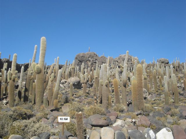 Deserto de Sal - Uyuni Bolívia 