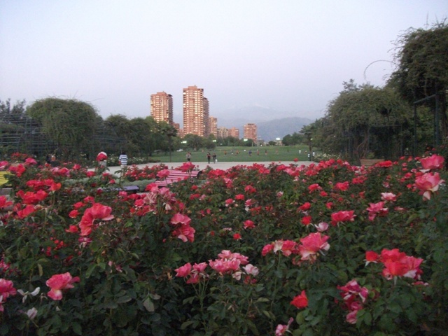 20110523173044.JPG
