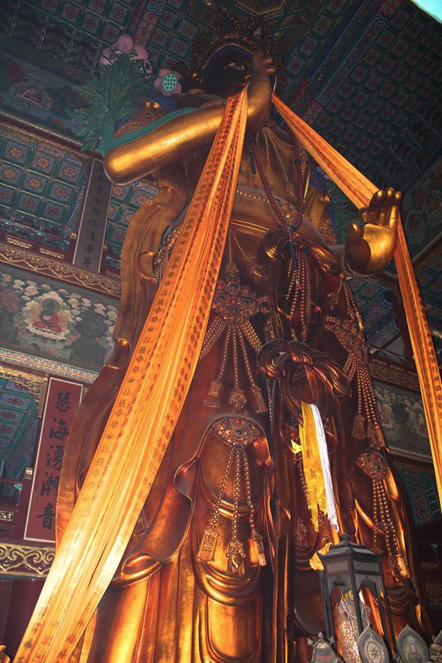 40vOKRgzb8COzJb0cB3hecH7GXMXEn2HY6PYbg6SV7GoUoVxS_NnBO_bJjneVqV_mUU-q_qV6OHfR9yY7XaqJZB8IGJYQeoMvK5vj8tjtPF19rKXhDM2FG9ig6PNC3p8a3a59i1k