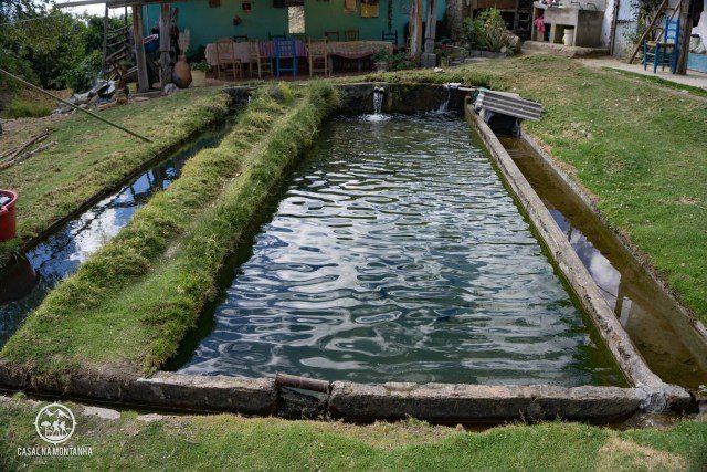 DSC03169.jpg?resize=640%2C427