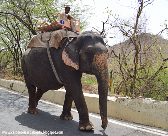 20140515-155a%25255B5%25255D.png?imgmax=800