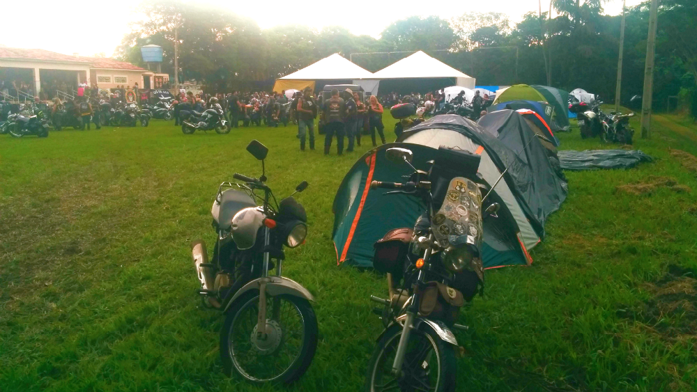 11 Anos Tigres Guerreiros