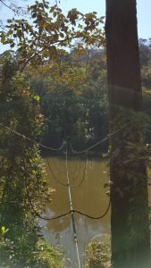 atibaia-pedra-grande-morangos-19-e153792