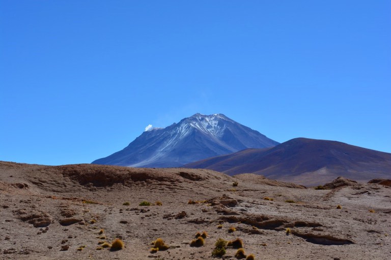 dsc_0345.jpg?resize=768%2C512