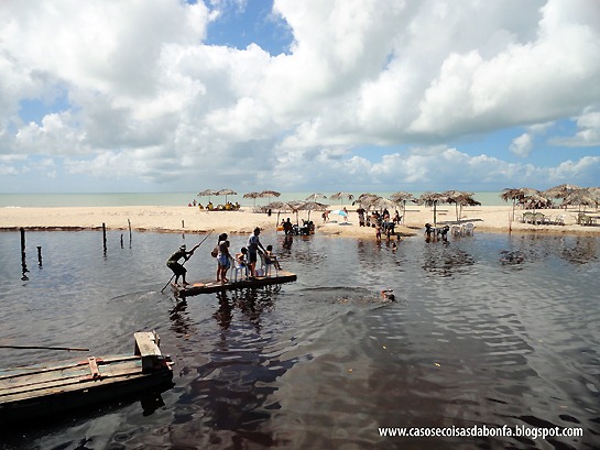 DSC07866%25255B5%25255D.jpg?imgmax=800