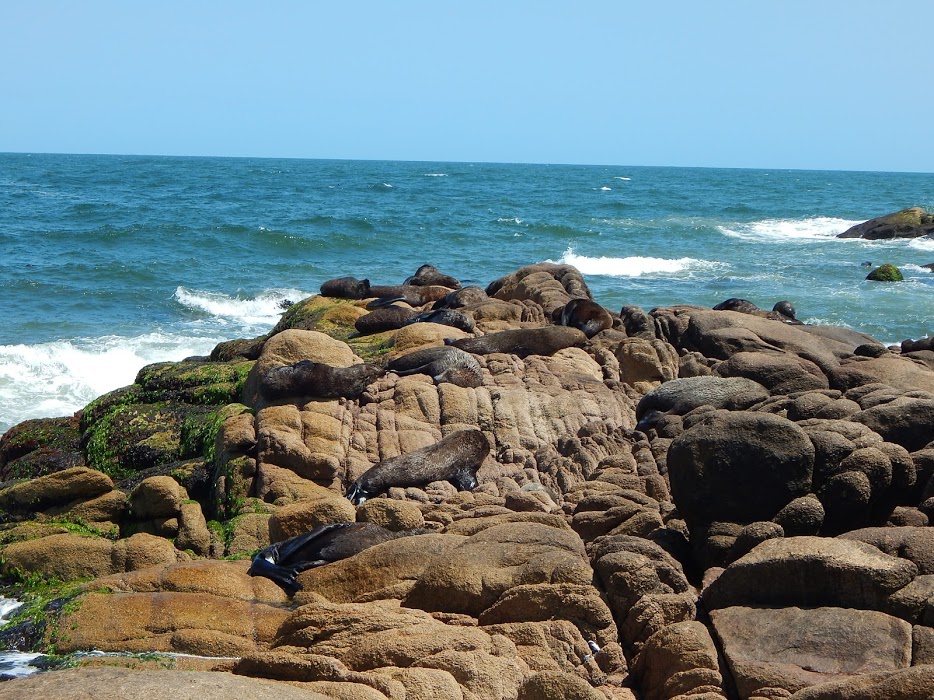 RyEn2602Tk5aGFsAfS5_hPO2wG2xtxNye0OLfngwHCnCJ0k2GhtGb90NldM-m0vvNto13mg_-0N5F35xyMFVhtS6FSYaixn9O99203a2EfV1UM4vhbWpKJBZKwG8AzkneP-b2E15L-n7gSgOwfXeYwW_JcEQrTgD0EElQjD9eHBDNRWFkMsyb_sbVv00Ahb_vnYS6FNOAP6uXkzN7Vi8hX6gP5HsfQNudPICb0_NqS63uNDGSEcYwqi7yUUgUgzgEIJmhoXVtxCA9xG26Apwp8bGUke3foNAaycT04wsKCI5L8TDnf_FIe2ICvhrsEYueoFjwpwcHhdACzKNaQh97VTBlbnFYpOzwfofmTQRsm0Nij6heMyirbqfzSRqP_lPcgqjSjF8b0-SZbFHbCWb3DHunIICgz28uVh2xfwJPhNcO26w3GAFuLWY4Rv9E56qnvDOHDuPEmimFJ1OBZEF3rWpuiK3gu1JKtuLyx8dAo5WELIzRXDQvR_YFYNIhvZM31os-0Z6581eyHFjmLHF9vE2M8HMfsiuguhqLc53znmnhzMavoTwsikkMyUqtfiHt-yjG_bDCU4YNNTQ7Khwy5er7jLKu2wpjN5xeTlZiiAIDafP6ct8=w934-h700-no