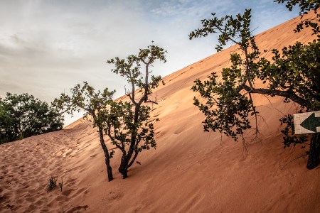 Jalapa%CC%83o-Dunas-02.jpg?resize=450%2C300