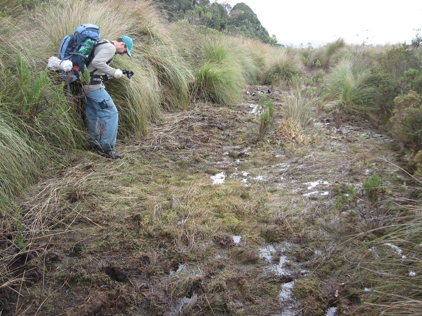 FYMZl4QCLydrRdSxJH7WnSHzlvLkT6j8A-Ho1d2i