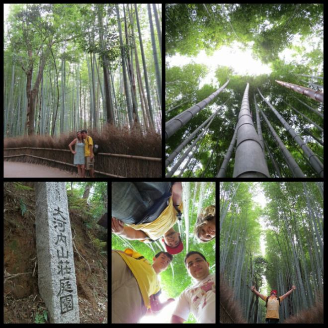 PhotoGrid_1439732199589