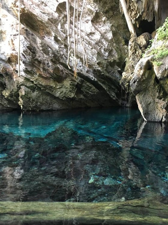 32767682_10204716520069513_4974941875443