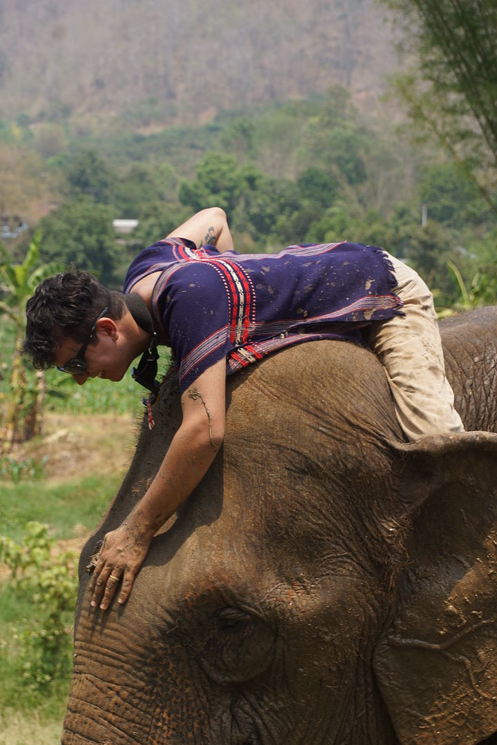 DSC06886?async&rand=0.25197333297340707