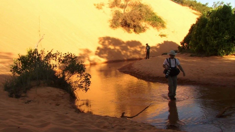 tocantins-jalap%C3%A3o-deserto.jpg?w=800