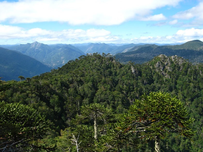 ogxNlR4TcuEMHxBQkGNlibvusQKgnsOk6mmqwSSMxxRYA1ON7zIE5SkHbfUXyiYhg1tqOvWsJrz-laemuU-joB1RtfOHOqj1kqSSvad_pU32UlOQhaGQeg4tBbhtnPFbZoyGARg0UhyX6FY-6bdjngr-QdquGPZy0VfRt-Xy1ionBcsrjA-_ZsV8YJHrAhqqdgFdNE6Yeo4qtctD6aBSntTm1v4jNKbNkTmnDjZWtr3h394L34HJVaOT9ILWQmj42Lrmf8Z7tCGDeEVD_qmOh5Vz6GATHeQtQZ8S3_sje-YkPMLcSR2p7T3xThFbBjh1FQp-_TbM51U4vPqPDHSU_Ma4fbqliJtgKL-pVWuuaKTvZ2nFK2YrqvC7EbIGVcmOsqwvBixouOm2_R3R79-spPFVnh5Vf6C3qYFvY0IG2HyHSyZtxHVq6rVcr5dmhYCN_uG9hOC27ImPpxazXLBtzZmNLBDPlb3HLxvlnKgknnc_c89WQY245UGFWdKJG5Ab_jxz1xabcRmWpL4JwHrojYpYgxdHNDRxjW9pTIwMgalIlFuSASlG_fKNsbgdtvcX-uY9AW8WPyyXG3oWj_QvBmSJ9LIQu6BhAa-kGkb1=w839-h629-no