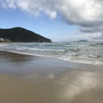 IMG_8357.jpg?resize=150%2C150