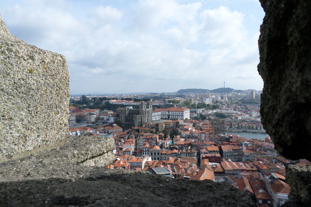 sam_0917.jpg?w=1000&h=&crop=1