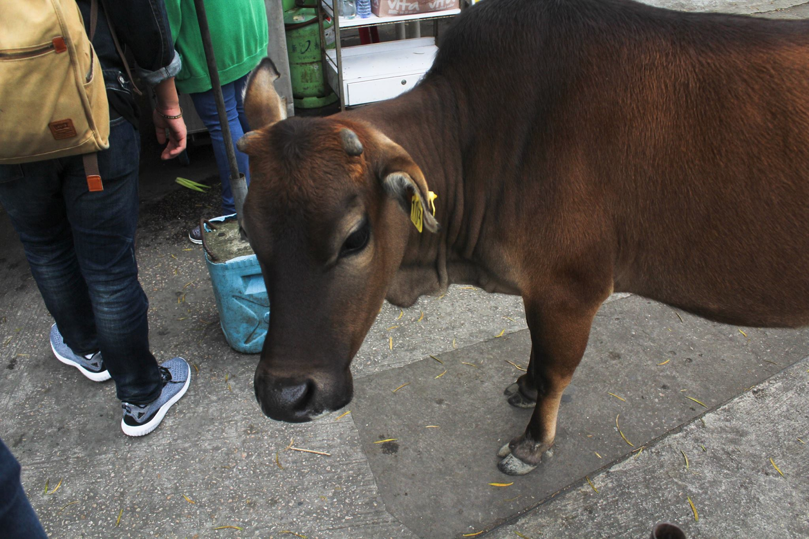 _sCObLzDBN7CLEtvQB2ywdjk0-sAfD4hGj8RvvX8CHrHbzUgDoWQt5CaMbj4pIx3E3BGkmn4jnmdqAJUz-kq-Bll5G3LwmEWeYpP7X-S7QEVXYsFkON3MZyfzKegkG0FBXCDUow4