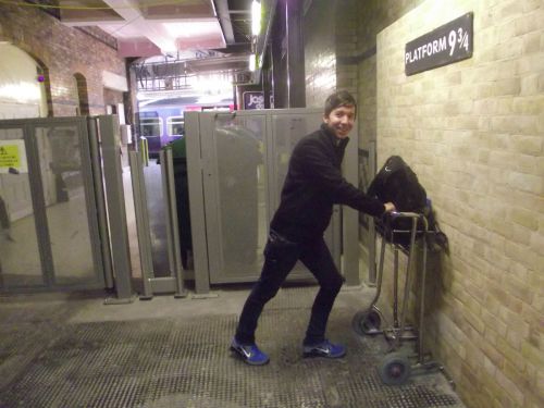 dscf1013.jpg?resize=500%2C375