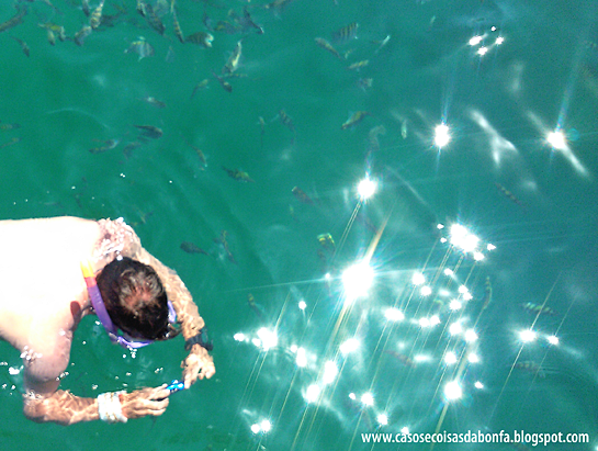 DSC_3583%25255B2%25255D.png?imgmax=800