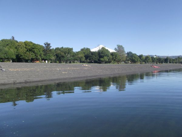 dscf0353.jpg?resize=600%2C450