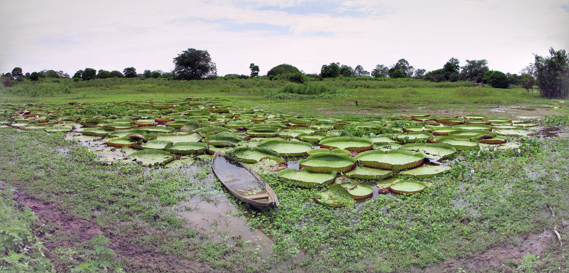 VS8mlpbbEMRaC0j6hK66Dzn8l10YJYuyMvc3YYIx