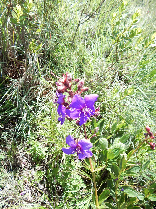 U90Z7E7BTZeqBNjdalih13-dqoKQFKxF-KWpA4_pCQ92tRWJaR9SU64G7eLVEwwWDVh50PD8KHZmOg-uDg7_t9oDkvUitw5kJoK0EuHQUgQ7clqyBG306dTzMvunc0vDOx2gkyccvCMR7OrX-Vy87ZkqnI9P_x3MC1GoRVRAxEQz_5wrQNccQjQMAFy7RLHBI2sZMLKd__xj98va1yV4GxPy0-331vZ2bln3sDidpK3lZ-2Wouy7udqXKzNYsMQHANAa7U16FN041EGW1Ti8aYNTLM3ofHue2m5f-wgMlMPjGlnCGcOBbxgWVtoYWy1HLoR4pvjLfx5vBucNbh18sKy2OcSuY87fEmCk9GAIHNnfVerVcuxxyu4YnYxtBqUev3sTMUbGwZb_PEQzRgADgz6IlNb234mrmeMx_1KOFfzIaOuLJPWuoWotQhAadCtKVW1w-Ku_Cv_eOjQei7w2qwlbhZd0jawFzulJDKaBO_RIIVfGNM9sZa2ay-UQgJdmai17dwihRuqzZQB6K1xQ51qu1ptTQ18LgKsu8nus5MtS-w7ZqFojwXwycaoh2PYlKVJP=w501-h667-no