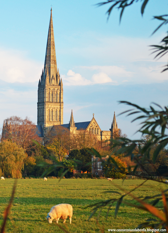 DSC_0998%25255B5%25255D.png?imgmax=800