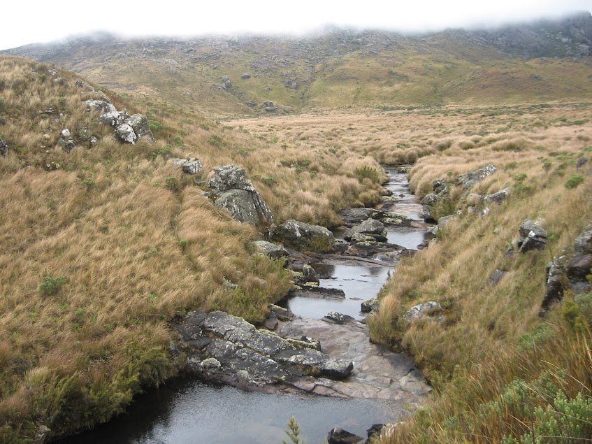 rIKKl8Wd7BUJ8Ek0FAA5lDHsHhcR4TcQyGRguTcz