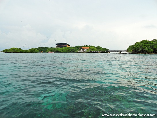 DSC08130%25255B5%25255D.jpg?imgmax=800