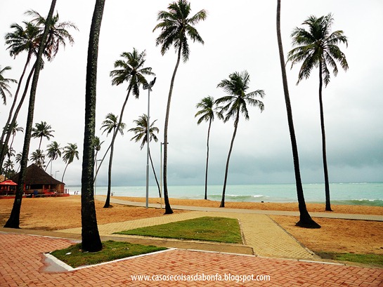 DSC04117a%25255B7%25255D.jpg?imgmax=800