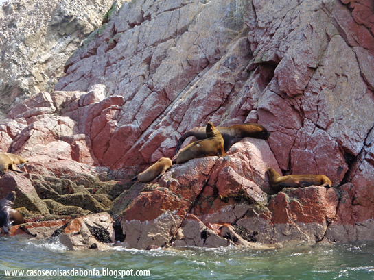 DSC07539%25255B2%25255D.png?imgmax=800