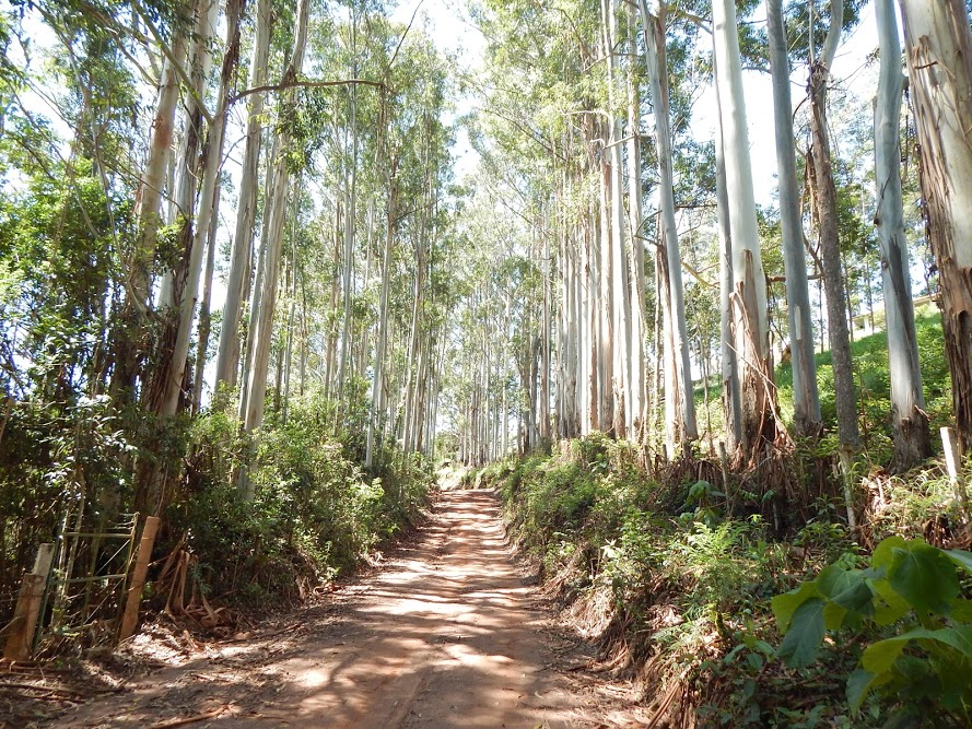 mgkWyBTg-CSX1jgX0ecL8CXXcGd-lOTWfOaykC2ZsPkdFQLbkgkZhwWJBKB8HQPRo4kmiOo9Yjz5-LG3HWH29Cq5ct0efxvqz0pYku-X_Q2GP64bEVKmOfLOhLGoqNTZYV7L1c-JOS8y38WQett-hDGFhyGxGuF5JZCDSORl6BY38iuXlWEmAoHznLmvF89aqPucsk27oa7MowSKVScgWS1zTnbC2NewV77EdvPyn7W9vYH1eIIDipE_RC7BiADv6xs-SfWXLxuvG6IVM-uJywbPHQpFA_z7sFtwtqHMDWrynOUBkCNc6PYWqL8cNztbrw9C6CFcUNFbL1Xae00ci7ZKDl2CMYpaZGqzcKVTzgCpExIEjyCua4A8-C2MEcqjMXaRS6ISuTgPhQV5zPyN9tZ00Qj7QDnCCJ0TF0RCyNmuswRhFE6qGvwIoYU246MF_6KC7ji6M8foKmjYnAWVfAvx-betiiaxtvJQ9r0ZrnAG7mv7-T04cUXG90ZyFfFpjXcKPaAHkd4RnZ1DKVv1E0bAha0FulleBX0b3tAd8wbPnqPejduZyUr-jA05xHUdiGG-=w890-h667-no