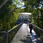 4-Curitiba-Parques-Opera-Tingui-Tangua-B