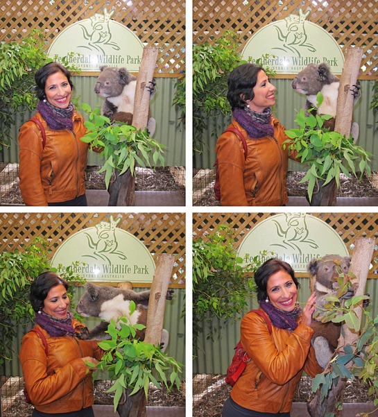 IMG_4561%25255B5%25255D.jpg?imgmax=800