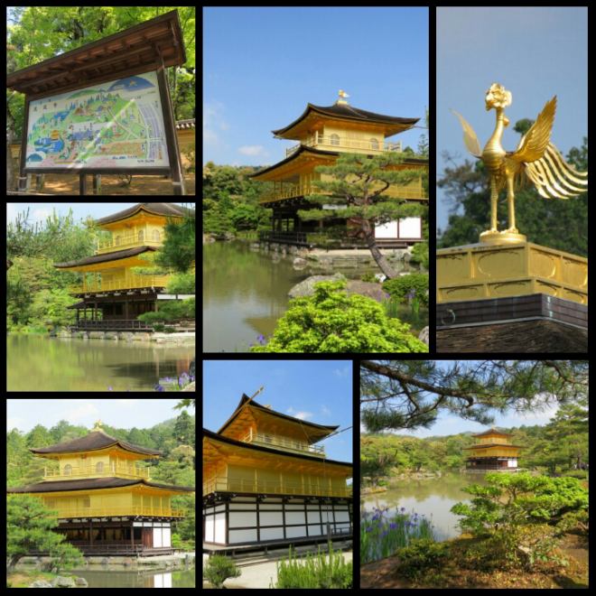 PhotoGrid_1440104697180