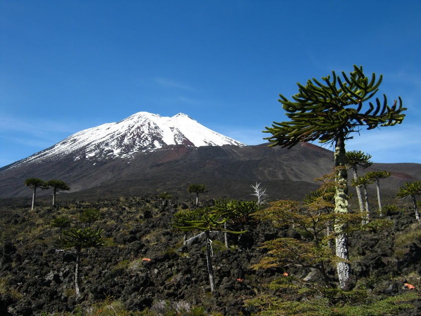 caQLlAliXeeOX7juUI2UUVxJTiKvkPO0DcQVDsKZfjWCktzvBvoYiXh0SQ5AQeec8tCGt0P2MUB1wfR7c8y4JswY8TjS4nZCHhnjc294vuB4ZbfWAM0lT9r7-34axnyuyf_yVKDuL9a75o-kassWM8Z2TCFSeI3cQg_cmKUUpLNgqlTT7OW9PN82OV-ErOjtVB5pToyJue5AaYjtFeu04RvcRvVa5mr6r64ZnO_ppNHyR-VUYLObrAt2Ei3MGOFJyHM75OaVgHM-Ob1oyfDhlOGe1XnD7pz5dUPEnJs27pmSqfUBKrPCgvClLrW3uenf55bbwB8DyvmwzTrE2J6lSl4H0XV8d66J9qcX_JrputglAp9Pg6T5f9Jq4oDlasVwMHNp3UFpPCErs6R_OHstFczBDS0NQd2e0J1Fv2NwEkLZJ8gLbprNCPPEZkYAxnjGHu4zVMTMnc1vu9fMcWhx5Bl4LSqzu6xWCwrNfI1v66CgNW9up3C6nWOwNvZYOS-PsbOd96vl4ZLTykUm0KYymmJV1yql5ziLNf0Yc37gUkgrNpPAncjkyY7kuTG1tyDgjYOqzVW0aFpYrjpNg5hs42dcc9CEn8SdKkQ4DgPK=w839-h629-no