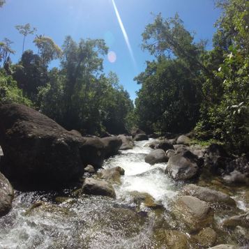 12924570_1379213685438668_6642631846490484379_n