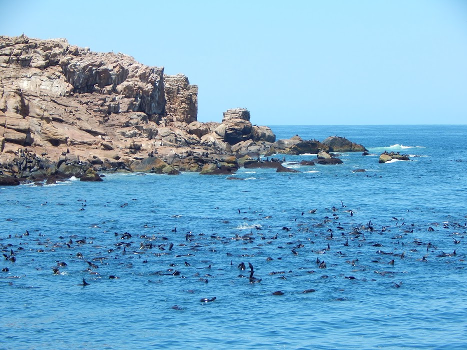 _TpAH90BHV9UitXNAmIDTP42kdT-_uvopZCdpdU0F8v8PoaEtXpsb9fxKVPdNxqPf7CNmBceDzD_SjG2r4xa6icrbk29QIdpK9z4jnHUZ-2sTvlU5_BAczQSPVjCpaBRiMWSrjonjyqc3PbXKySm9Nhy1ZOwO5Zs5SLM_XqaGMFWs9XjeY31_50KThw3uvrI_I6c3oQ-ZtAxRgSR81gBFFw8adTad2iA1Rl-YhoNu2bRZ1hkyHn7NwjDIGzcGHd-LvIFzfwjEbxsy3OAD2YQoZPwMC4zHb1J8GZ5GwcDhU8DOufuWnS9FBPiCFxkKlb7gFfwkcf7TUv1eeOVP8S9qhIT-tBk1y7B5OTnPFxpEO0lN0ttGdC3b4qo34y2Nh2lixx4BCw-nmvrLtgvoQoC7DMeXGD-tSvloG2pz9OFKaXDta_XWchCuG0j8apV2xrgoJ9RAPExSepq-jY6TsuNHp_eeYE_aF9nahFjn5wLy4C3AmOTcZu3Wvsa8S7mCQDP-ozKZWyJcq4vshN7pLboKE7of0mhXxAnoKSGW153v-Fka_q2Eoe7F5H1BWvYGCwDUr-aWeipvBlcr0eKaTwlTYDe2S6aVMYeZmCcNEcL8oITucHER3gl=w934-h700-no