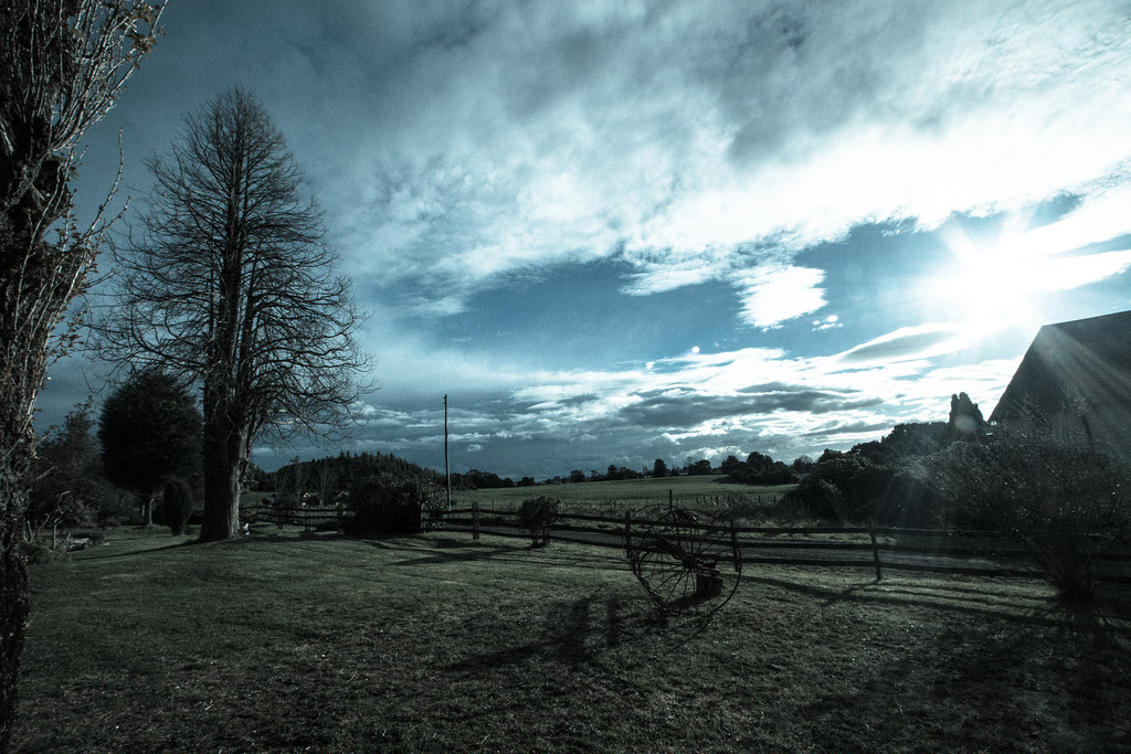 Café - Cabañas Lahuel