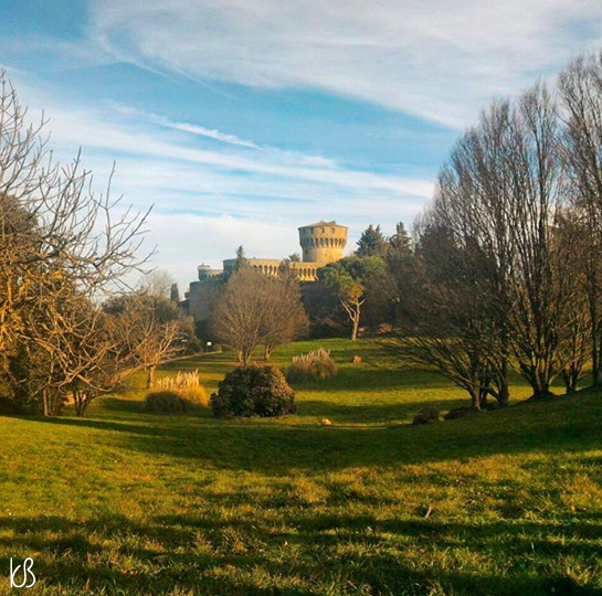 volterra%25255B2%25255D.png?imgmax=800