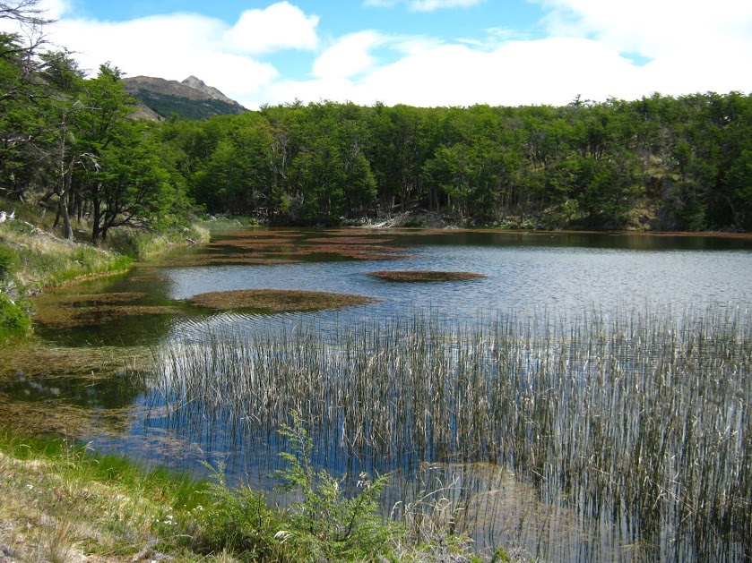 EOgtmYBjadIK6Ggzuc2qxbg6PSE87SFKA-dRvRJg4M-Fp1BhYG2ND4mxyMDyzSYhksr8iP8zomcYnH6ruVUvLffqdlZHtjSwu8ALDOzvWM2Z1kvtbq7y_zPesaU9dCp-_ZYquDQWrtHw7l1mCRgNfyYHZIJwNUJpu-6KMXS_B_vHhgwjIsjmQmCb_S8rtNuDQ5vrzqAaJwFX2VQ2_EkPGAzYbYdqbdQa05-_yTSdBhUBY7B-peA9Q8Nzlm8-sEWWHAPf2OGjCRqH7_upS6gY0zBE39UG1muA2I2MAQKIP2rMKNtHBe_kXrg2dUd7kvbFWXCCb53z9IaZKf2NR7bm6qOwccMG1wPF5ZIiDAYx-5FA-_N_Bvu9AnM7I-aidIzAuvSjamQ0UOfrj6kIIqtZrn896pp25UuTUXVyXEyXQxFYn3xKHlqs3c1Ncq_ESomtQzKqv1T697TrziPHPL2ea_hoSChhoaKhQnG0wFOd8gO1N8OKW-oy_H313P09uQYT_o7BmZMKLjx5XrWFE-Q8L4E3bQFJpvAW2vjx80zwe7hL-V4SK5KnCih146j-7jWTpPG9RV2E_W0UVaZOMXgsGuxWPy7y8jhhb8AHiGoV=w839-h629-no