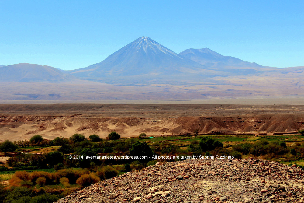 sp_ata_0111.jpg?w=1000&h=