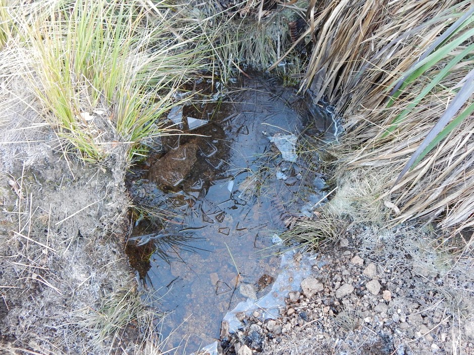 7YuDauP6MQ_KIZ4ce7jffyse4y9TVd99qQEmJmgHUjyBUHzbo_qdniTTgu504G2EM0UUmJt97C9Bgo-uH6TP9Ejgfm_vhoXYTeSacAmC-6W5o_MnTgNtHsS7UupYZVVxYYdAWlzs1pZwlBXcxixB8-tbBJA-HQ5H4RgNJOmhZvpzSOxp2RrChFkIdL_zcp7Bd7rhmdVawy84O3Is98Je4r0D0AdWSlM5N02sVnpIsoyMW7VL4p6YlL5uxbrPjQ_cQD5z4qSO1x6HgzeMuN7gd3wpbm1RbgJbned8JZDUUqUfAoNGpQVqpnBPT_f8KKhfEzPZ-uF9duEfDpdBhzSGce6Q0pqT4atD0eR9NLl8TAGW8mOzGSWV0Or7t0b7vRPi-rPyp2cr4lRKhFZB4GPc9JvbAh7-Mu6TLZUQiCKGNpXp67pzOenVodwhjiiJHaI_QBy7ODFnQP6EbxYyWF1-ajjPAh6BSqsGZJFAn0ePCyqGdzrL5Xu_aQL92GC2AzFWoWZWriZRUIA8mNe_g54juEJnbBNEMpgxgFaPPqoQ-dytUk37Mk8GCQyO27KumTs3NHBMHjQQTLBgG-5HHdDde-ItyS6-Wzk=w940-h705-no