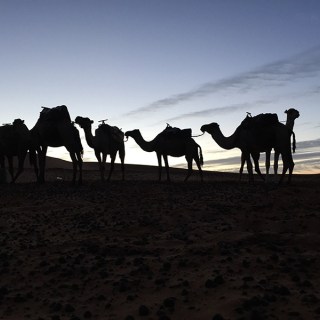 IMG_4765.jpg?resize=320%2C320