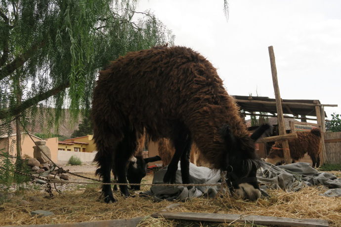 img_1089_zpscpry8tsv