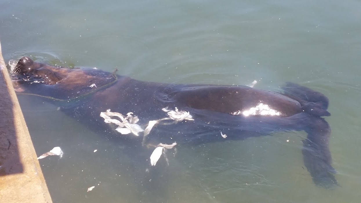 GjSlU6aPblARDwAdzkUGJ2vBZLHw93d6v5Q95iAL2_Warjd5NlddFR_MTGlE8YtZwVe1SGGg4mkfrNnncNbfwgO_B8yz7hjjxJpzlGq0md4fUQGlmjxN6L87dsyqW16YVW3miTX8WK1tJpjHqvRYOh7HylXUQIrQ4UbX4FVkzPMj9Yd1pMJ1564xe_J-mOkk2XE2tISfjC_0_7GeClKhKa62ihrlgwGjiNYZn3-o159HDzgPL9_potvjju1yFfk6UD5CXIpwHxO71Rrz1lAob_WYlfZFkpFoZqLPRYniaHvZ62RTzwZSIqxNIJxFNhk1z4BEpIpJks_L-SKsQs5xSCmsjh3uXa4x1dIYWMEZar0yl2kZnByP63_1p5Ijt3qyB9CHBT7HDXonJhjQdYaJIKbV4bI3JaMXKlKa_UYfoMFHZPejnQ93smZX4kNMDbB10VgOJsH3GVftvpWOiaR4u1hxU92_D60BpjR_fj0aaPZIuw_YRtelGTmq4sYjvkNaVTxbvxc0QPAWyqf1069UBBZe-i7ksNYEfrgYLbaRPm8bItRGtSA8j_Cvk4p_E8A0dNLjw2XPJjMf2YvMqIUooNYAOtrQtKAtwnxrREXh_k7j3_HEyCQe=w1245-h700-no