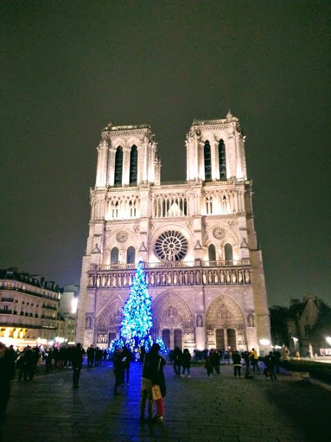 notre-dame%2Bde%2Bparis3.jpg
